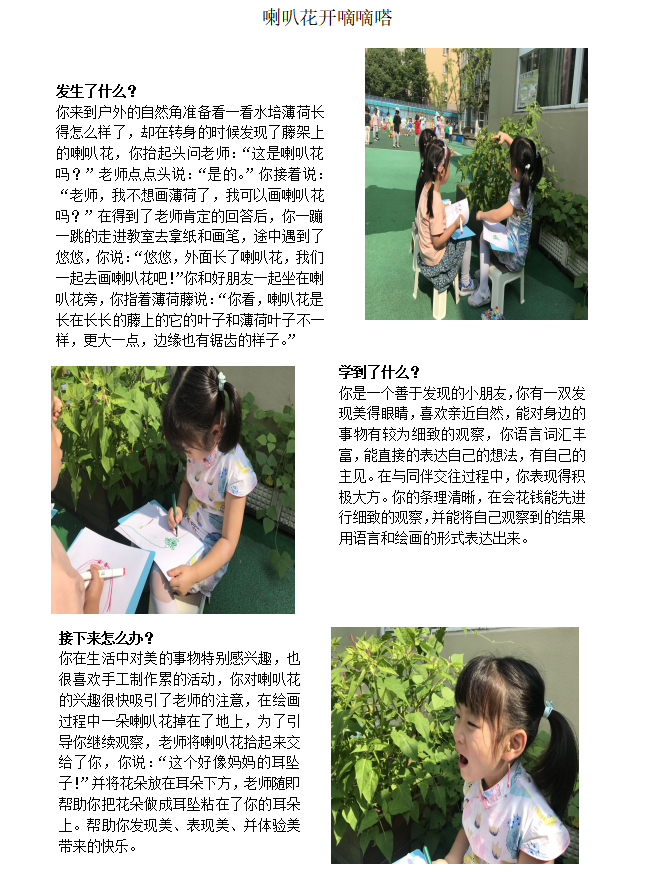 学习故事张.png